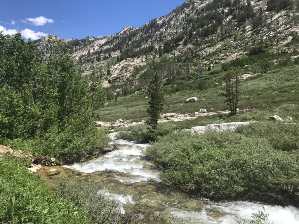 HDRFS researcher, Erin Hanan, featured in Nevada Current’s article
