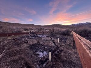 Sensors added to the plots